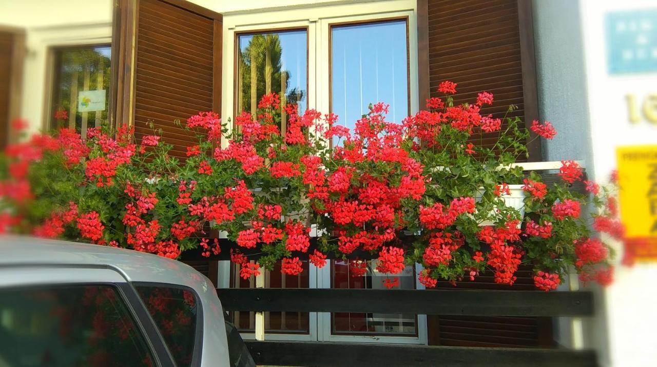 Accommodation Zara Vukovar Exterior foto